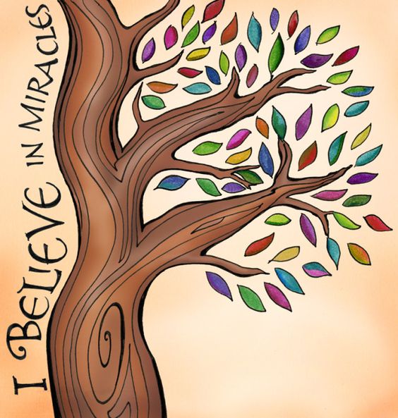 miracle tree