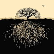 images Tree with roots