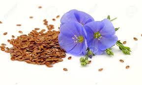 image intention seeds