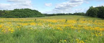 images necessities open field