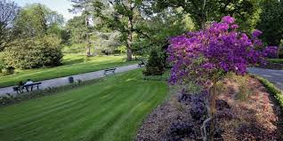 images necessities park