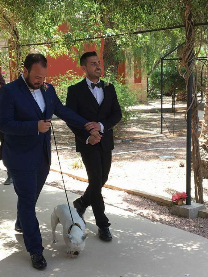 FB_IMG_1467045723682 Joshua Byron &amp; Mojito