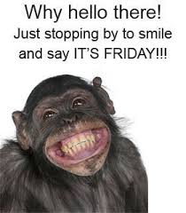 descarga (2) Monkey friday