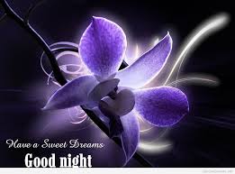 good night flower