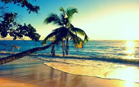 images (4) afternoon beach