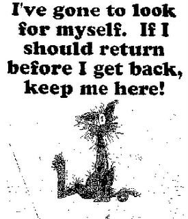 frazzled-friday