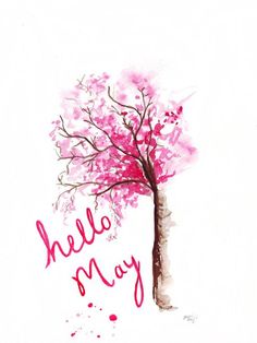 Hello May