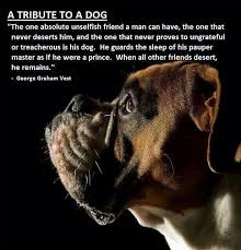 dog tribute 1