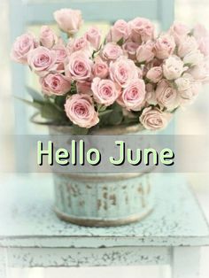 Hello june