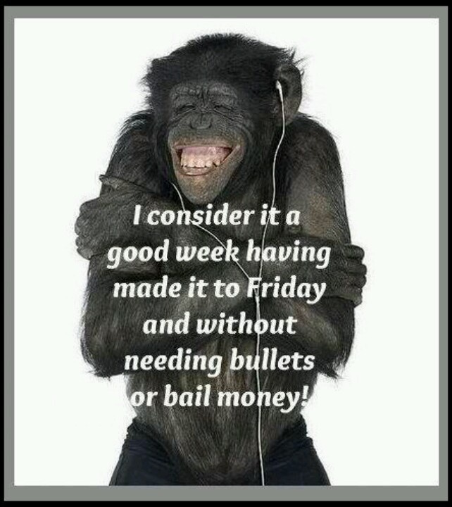 85c6a0a1f91c4af1ecacb0553ebca393