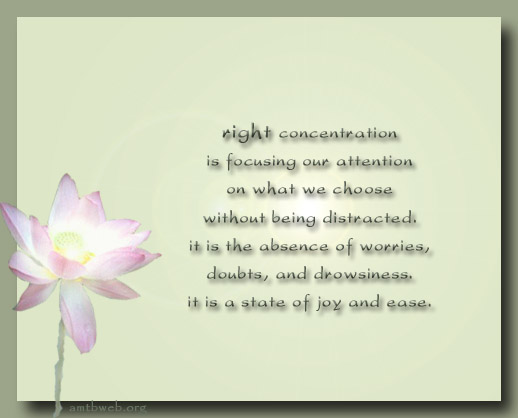 concentration 1