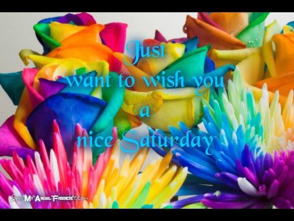 beautiful saturday