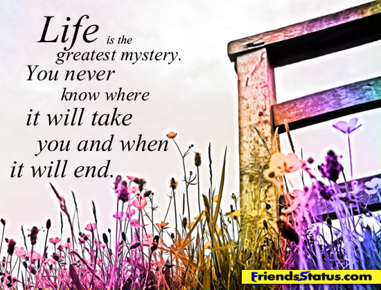 mystery life 1