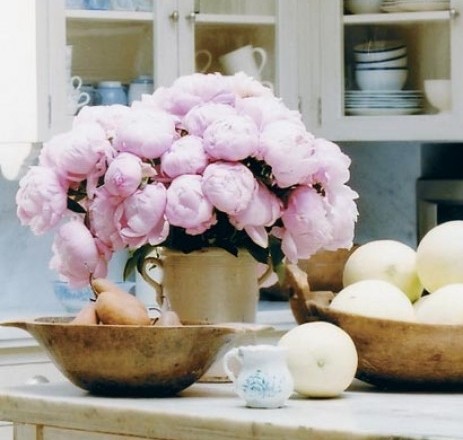 beautiful sunday flowers