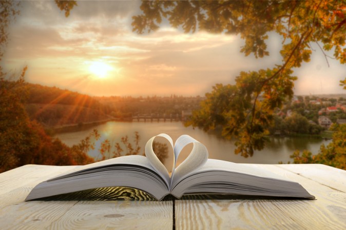 Open book at wooden table on natural blurred background. Heart b