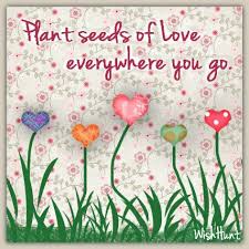 images seeds of love