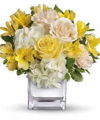 images easter flowers white and yellow
